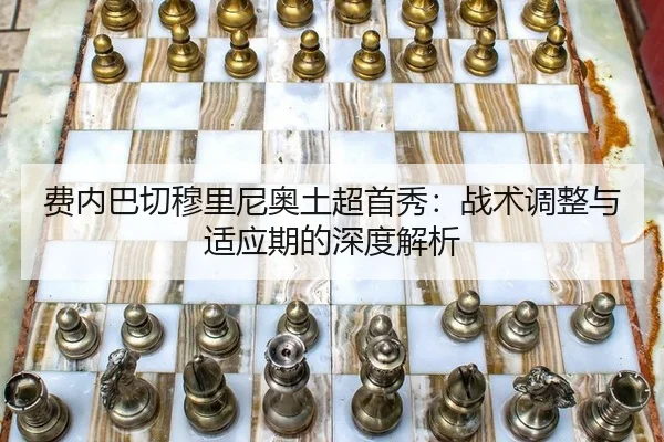 fei-nei-ba-qie-mu-li-ni-ao-tu-chao-shou-xiu-zhan-shu-tiao-zheng-yu-shi-ying-qi-de-shen-du-jie-xi-2-305.jpg
