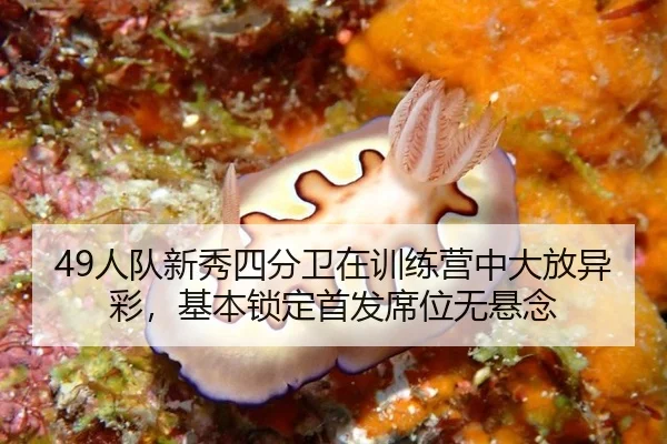 ren-dui-xin-xiu-si-fen-wei-zai-xun-lian-ying-zhong-da-fang-yi-cai-ji-ben-suo-ding-shou-fa-xi-wei-wu-xuan-nian-2-751.jpg
