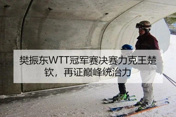 樊振东WTT冠军赛决赛力克王楚钦，再证巅峰统治力