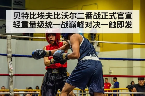 贝特比埃夫比沃尔二番战正式官宣 轻重量级统一战巅峰对决一触即发